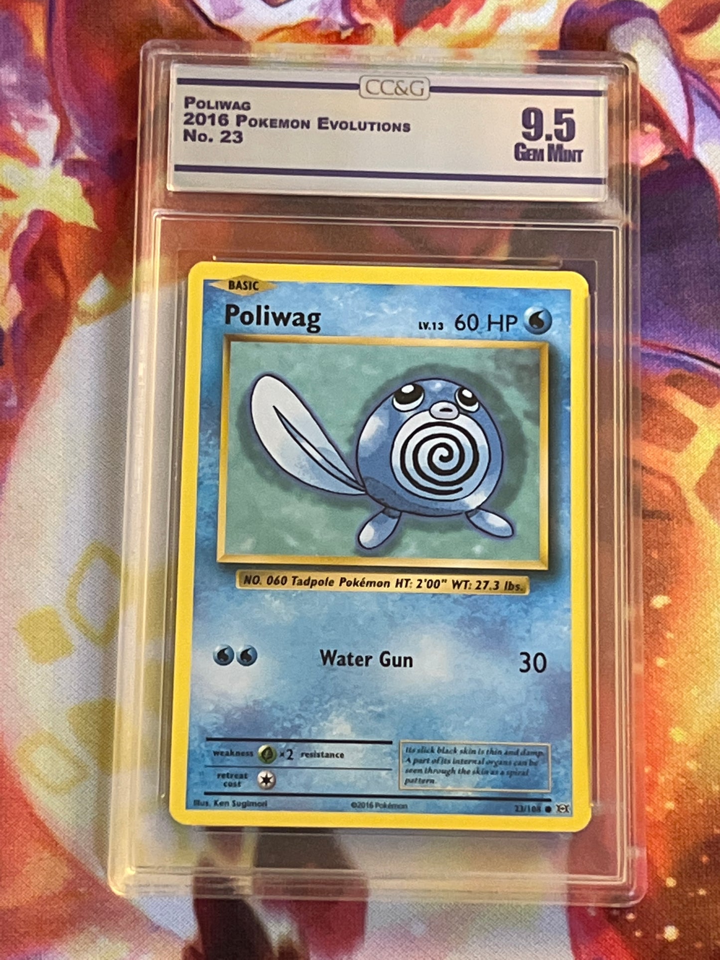 2016 Pokemon Poliwag - Non-Holo - Graded CC&G 9.5 - #23