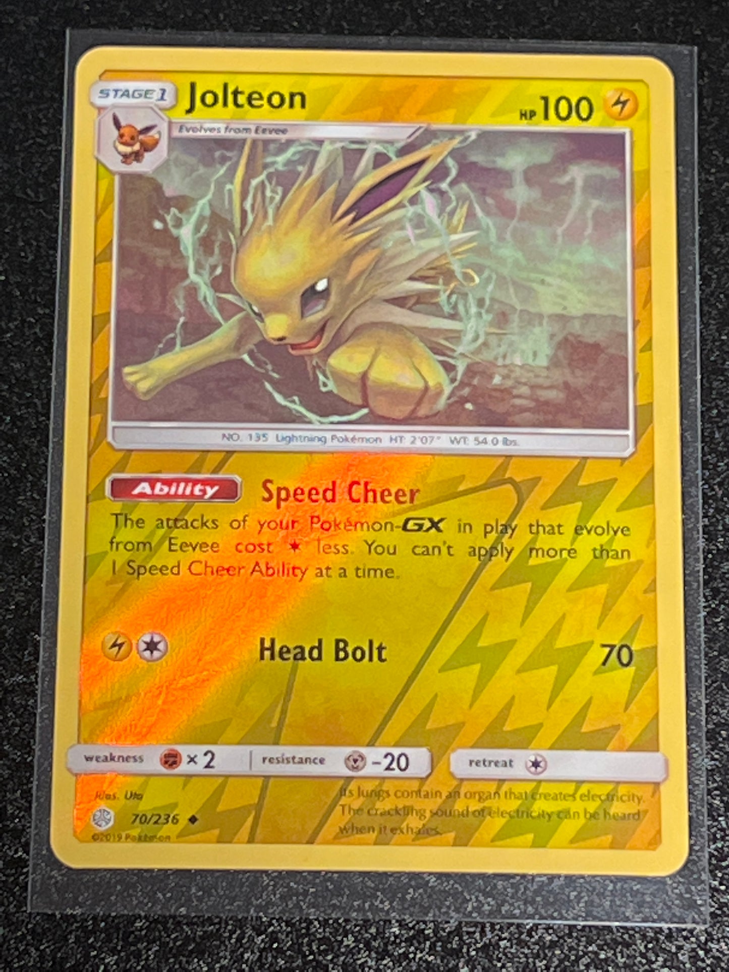 2019 Pokemon JOLTEON- Reverse Holo - #70