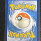 2019 Pokemon MEWTWO & MEW GX -  Holo - #SM191