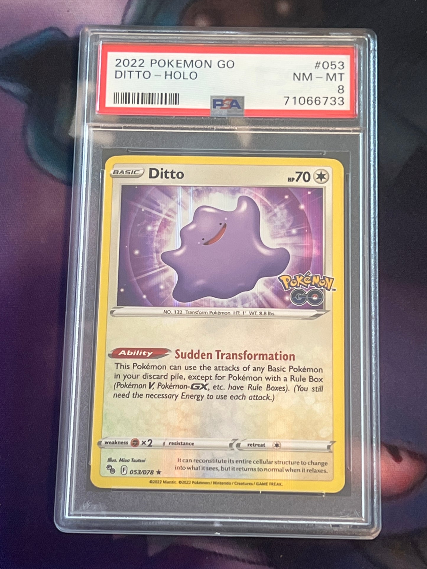 2022 Pokemon Ditto - Hidden Ditto - Holo Rare - Graded PSA 8 - #53