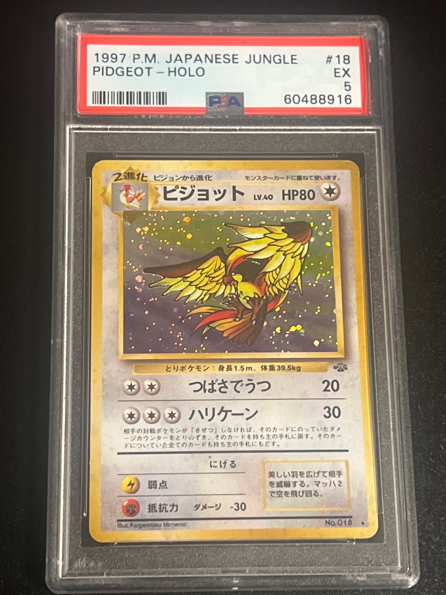 1997 Pokemon (P.M.) Japanese Jungle PIDGEOT - Holo - PSA 5