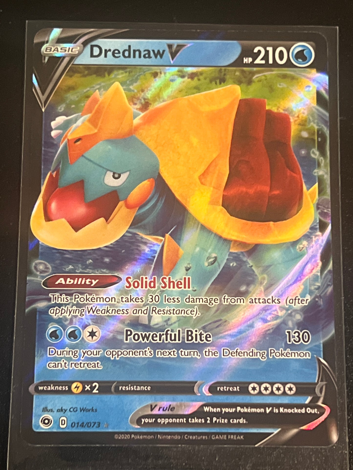 2020 Pokemon DREWDNAW V - Holo - #014