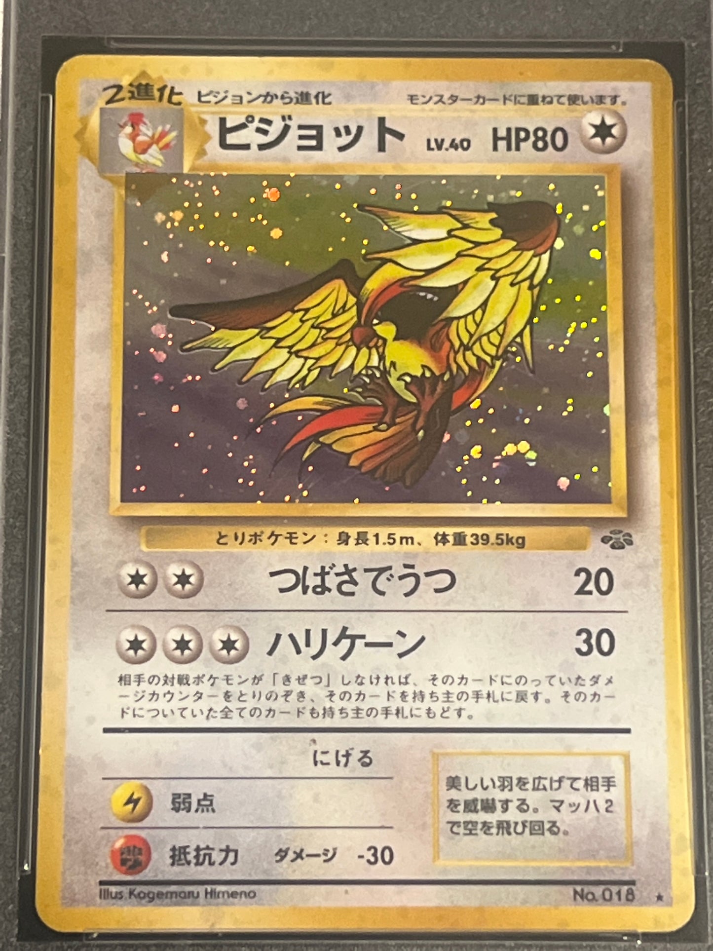 1997 Pokemon (P.M.) Japanese Jungle PIDGEOT - Holo - PSA 5