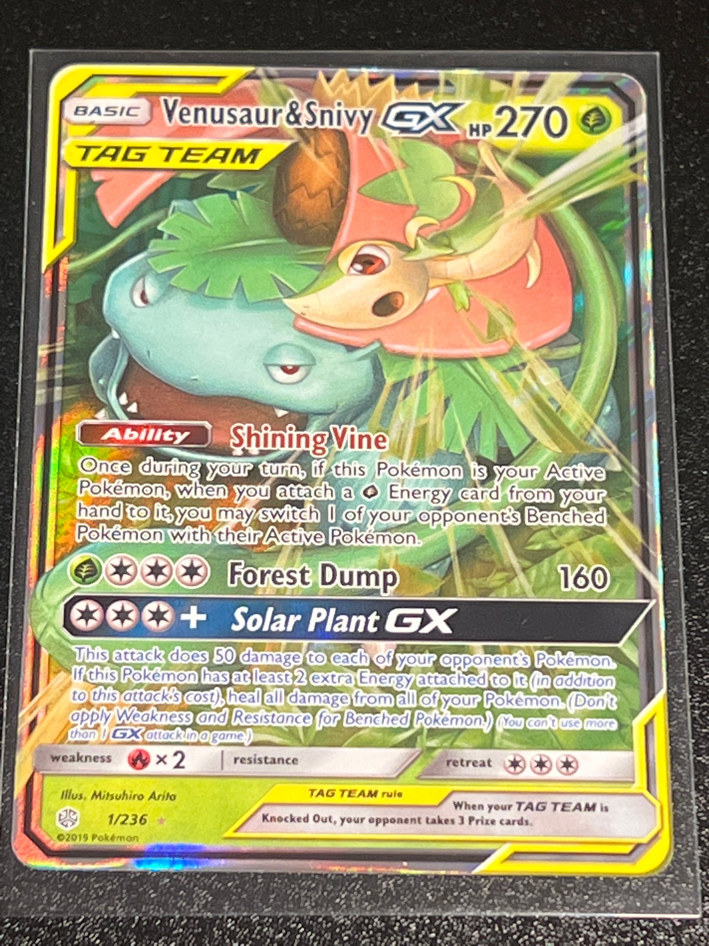 2019 Pokemon VENUSAUR & SNIVY GX - Holo - #1